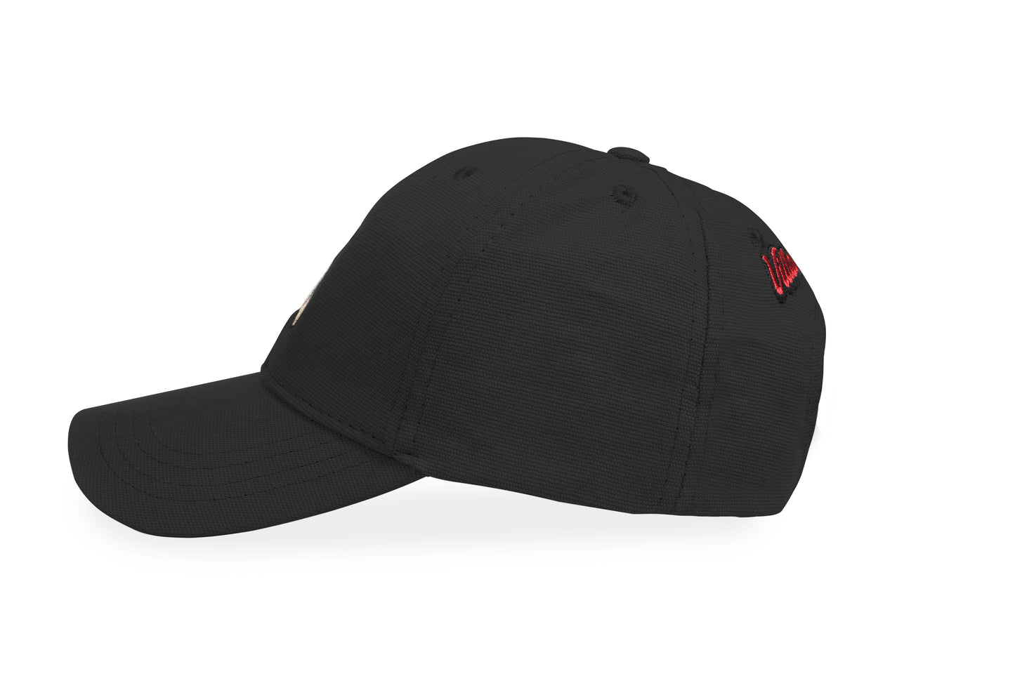 Villain Bear Rich Black Unisex Şapka